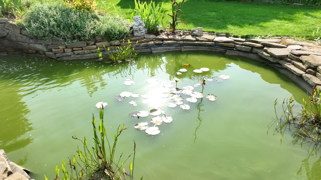 Serene Garden Pond with Waterfall and Water Lilies