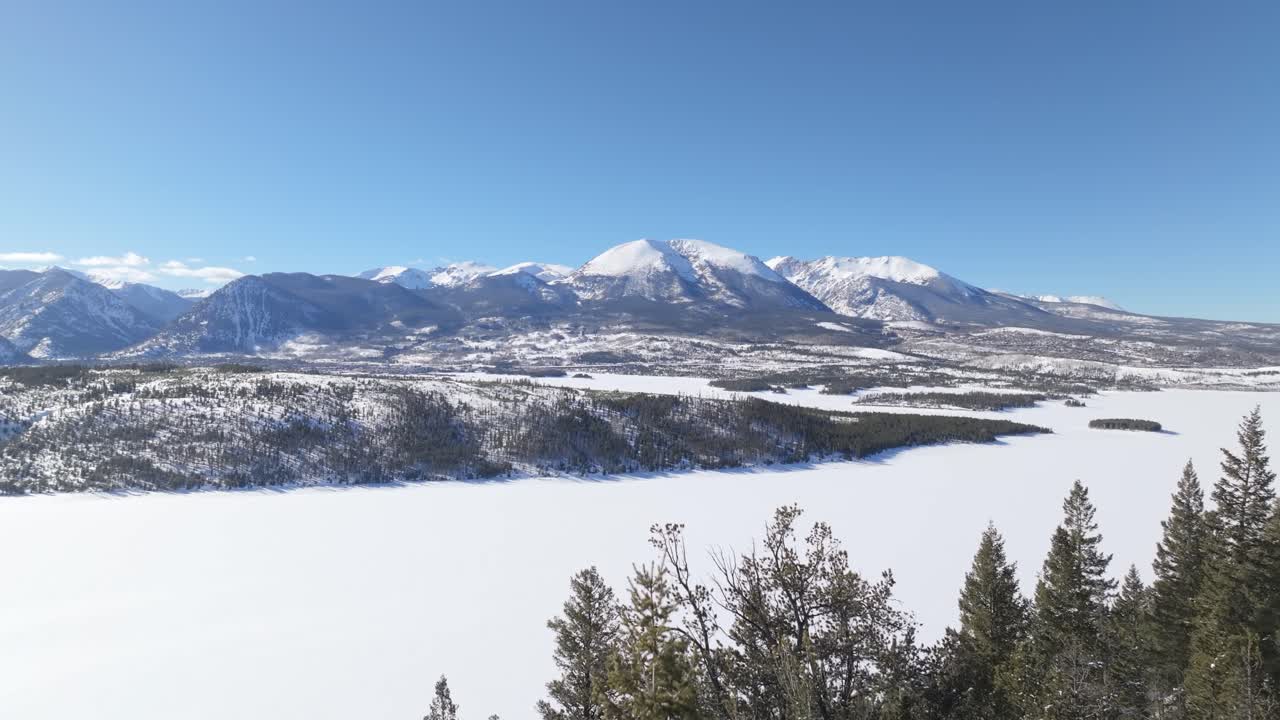 나무 위의 드론
