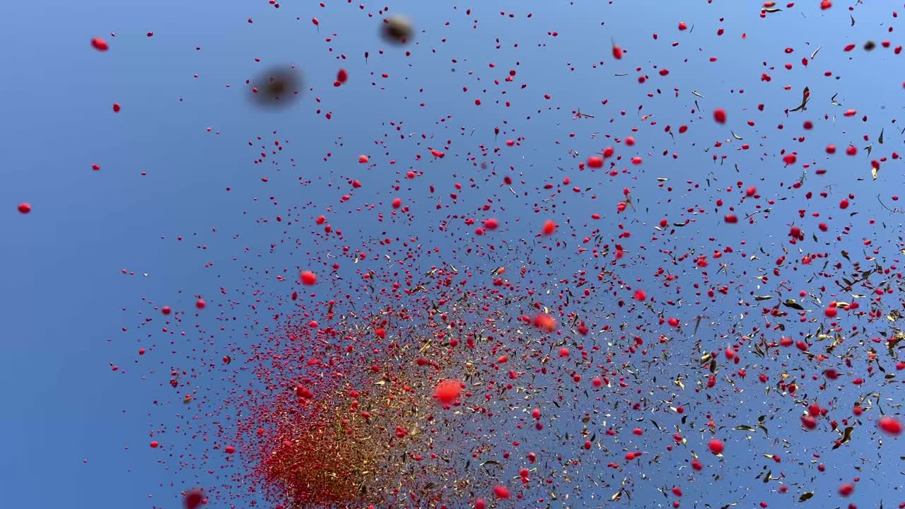 베리 (berry) 를 는 개념: 잎과 잎자루를 분리하는 과정, 에서 을 는 과정, 이란 시골의 농장에서 가족과 함께 일하는 농부, 아름다운 풍경의 순간