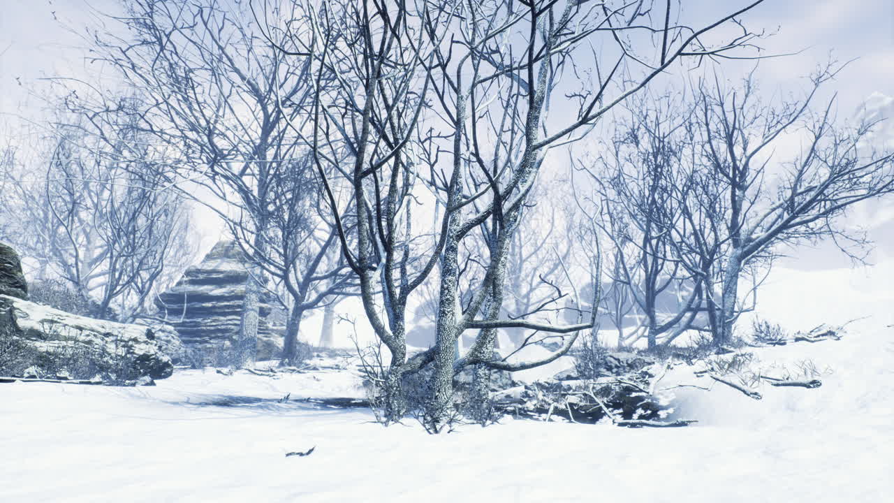 Winter landscape with bare trees and snowy ground in serene nature