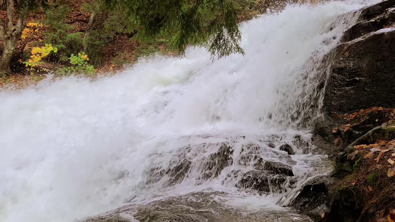 산에서 돌진하는 개울의 클로즈업