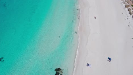 Topdown-Luftaufnahme-Des-Kristallklaren-Türkisfarbenen-Wassers-Der-Bunker-Bay-Im-Westen-Australiens