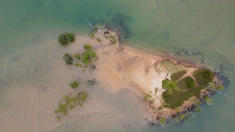 Small-Island-Surrounded-With-Pristine-Clear-Water-At-Tallebudgera-Creek-In-Gold-Coast,-Queensland,-Australia