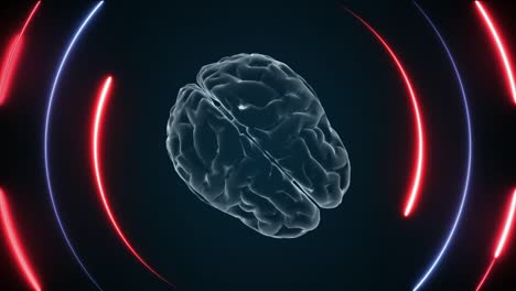 animación del cerebro 3d y efectos de neón, animación creativa. loopable infinito.