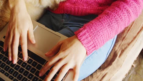 mujer usando computadora portátil con su perro en el sofá 4k