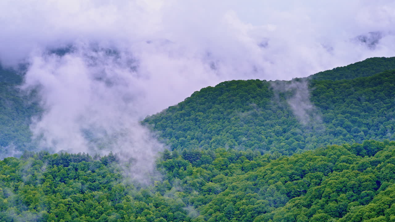 The Smoky Mountains disappear into mist from above