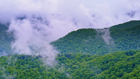 the smoky mountains disappear into mist from above