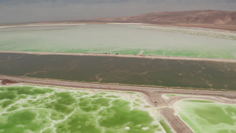 the green saline lake, natural lake background.