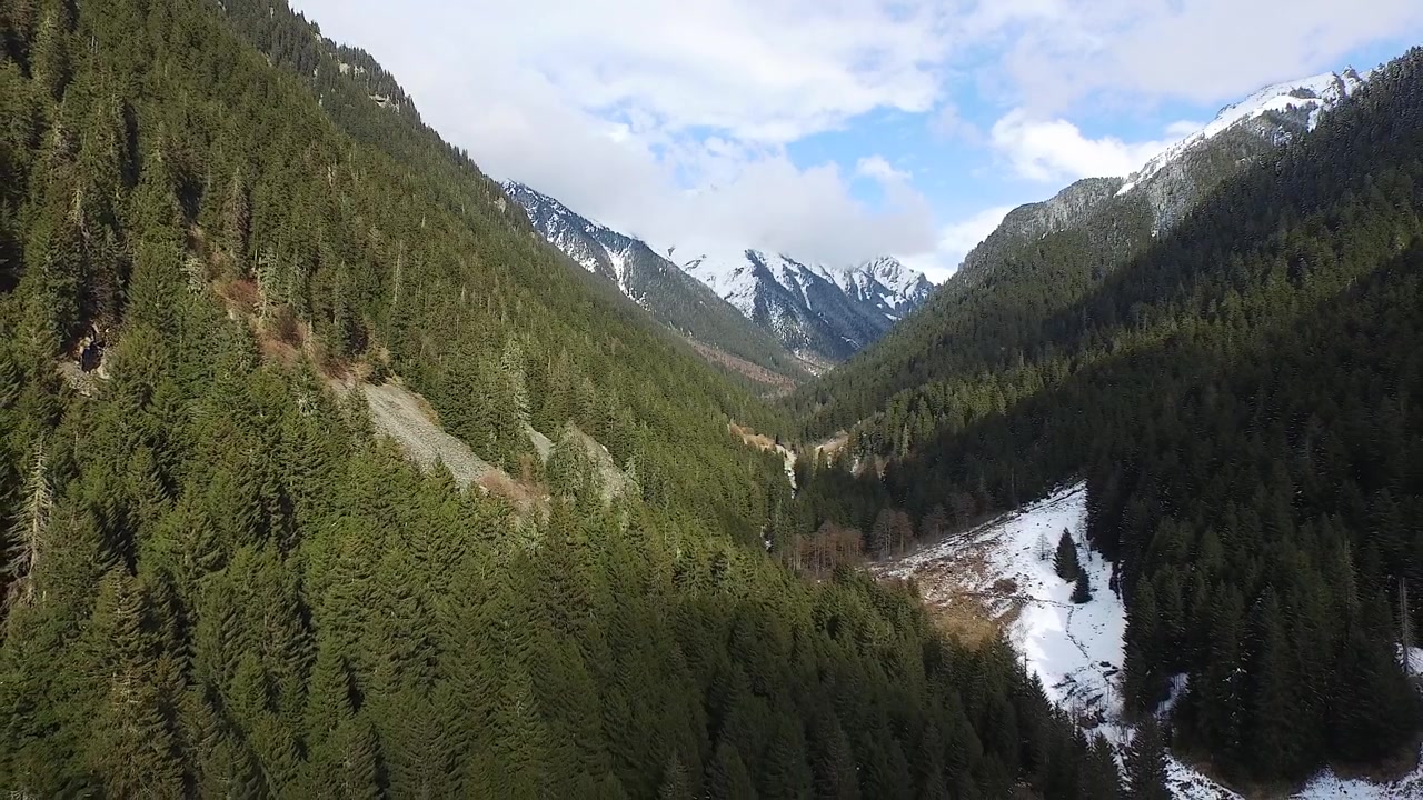 Aerial View of a Deep Mountain Valley with Pine Forests and Snow