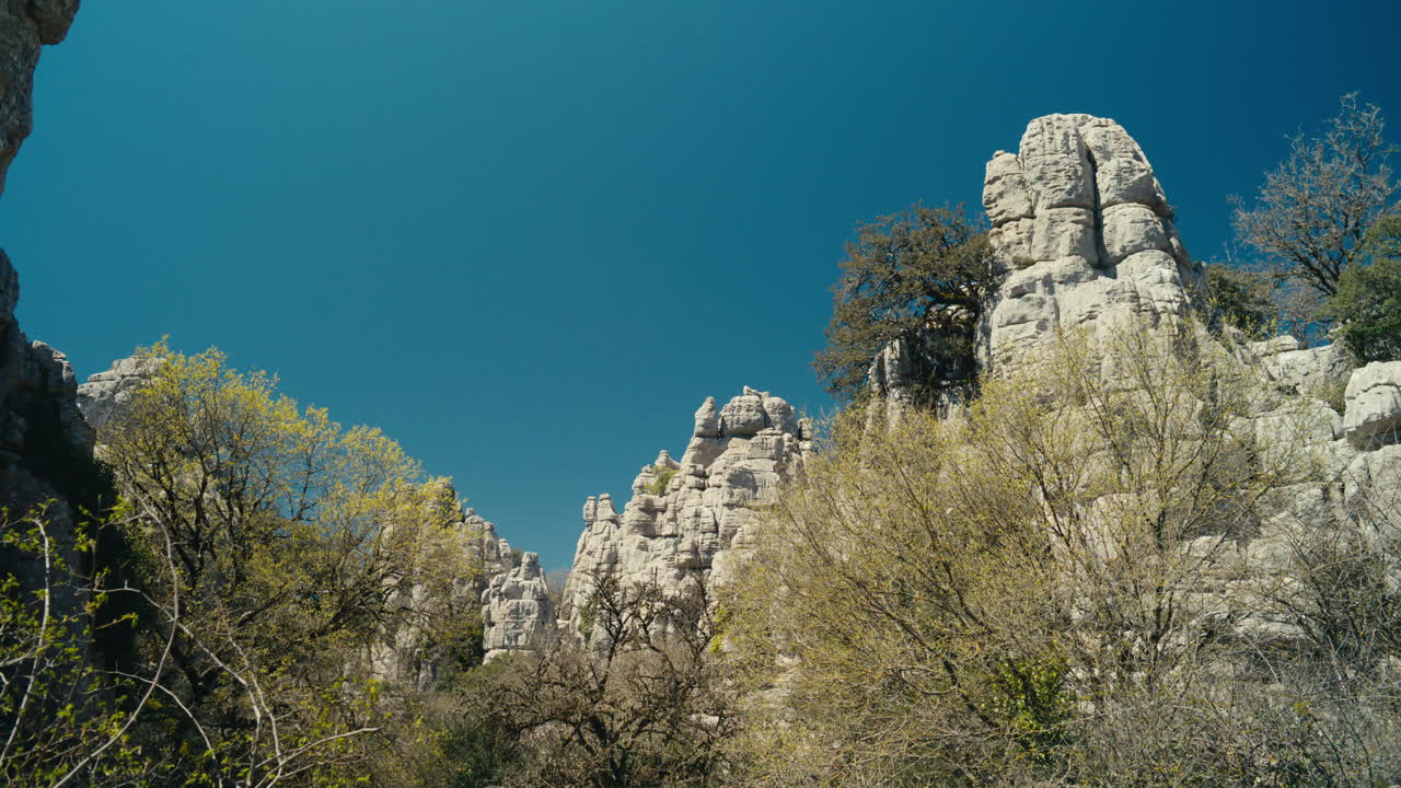 Vista dal basso di formazioni calcaree incorniciate dagli alberi a El Torcal de Antequera, Spagna, che evidenzia il terreno carsico accidentato, le texture naturali e la vegetazione mediterranea sotto un cielo sereno