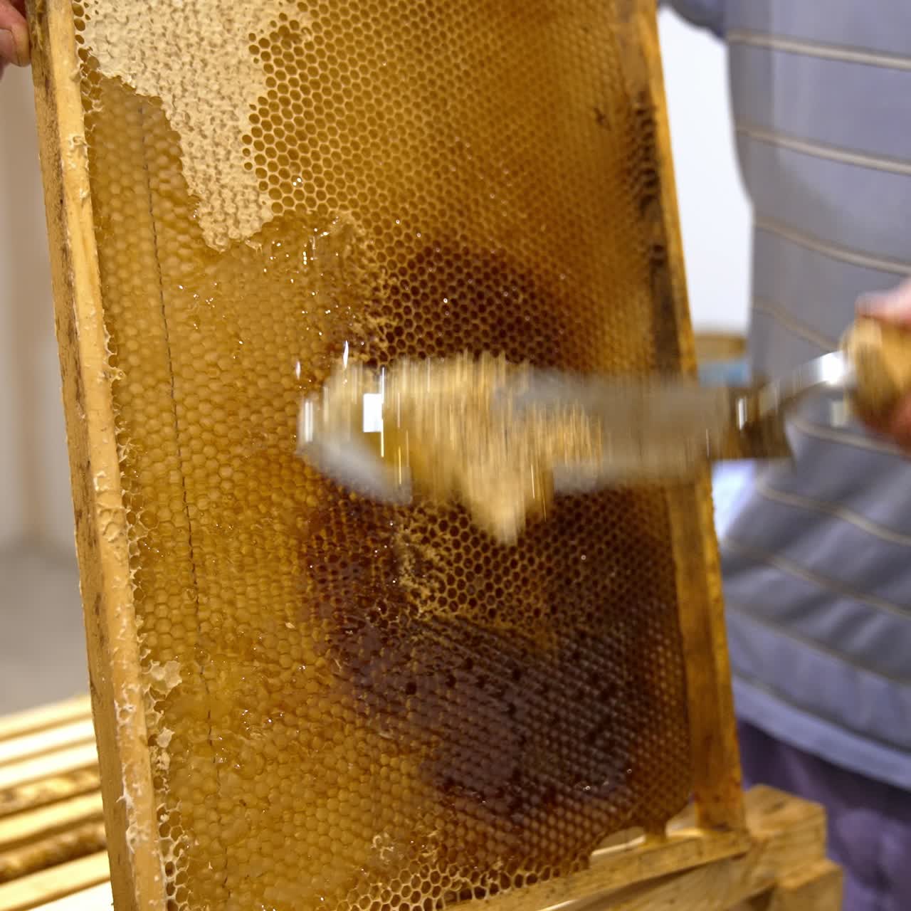 Un apicoltore rimuove gli opercoli dalle celle di miele con uno strumento speciale. Primo piano. Un apicoltore raccoglie il miele.