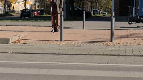 hombre con discapacidad visual cruzando la carretera con su palo con la ayuda de la acera táctil para peatones para discapacitados visuales en la ciudad.
