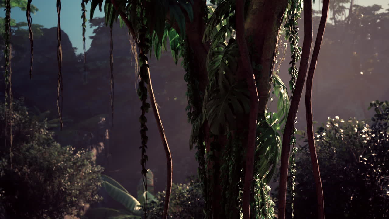 la luz del sol de la jungla