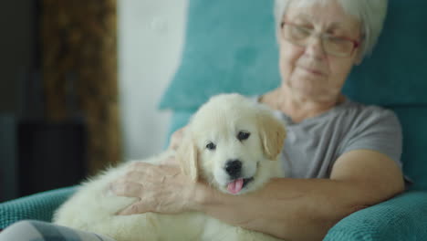 La-Mujer-Mayor-Está-Descansando-En-Una-Silla-Con-Un-Cachorro-En-Sus-Brazos.-Comodidad-En-El-Hogar-Y-Vejez-Segura