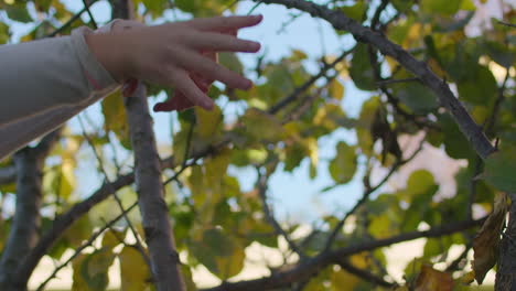 slow motion close-up of a child's hands as she drops a bunch of leaves while hiding in a tree