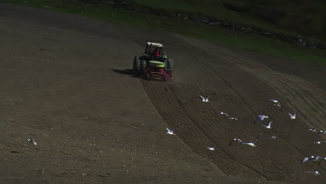 Un-Gran-Tractor-Con-Sembradora-Cultiva-El-Campo-Seguido-De-Pájaros.