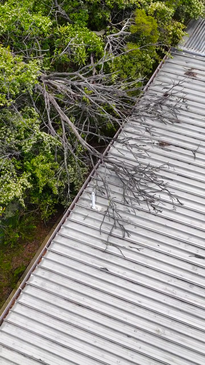 High angle view of a fallen tree limb on a metal roof needing emergency repair