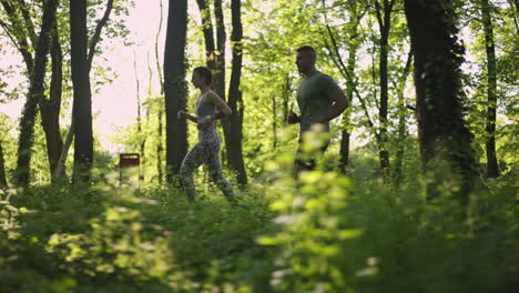 people running in a forest