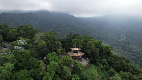 beautiful aerial view to rainforest and green city landscape in rio de janeiro, brazil - chinese view