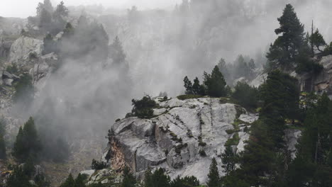 scenic-landscape-of-Aigüestortes-National-Park-in-the-Catalan-Pyrenees-Spain,-pine-tree-and-rocky-mountains-travel-destination