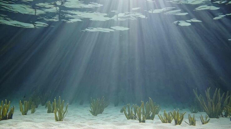 Underwater scene with sunlight rays filtering through, illuminating sand and seaweed