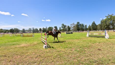 horse and rider jumping over obstacles