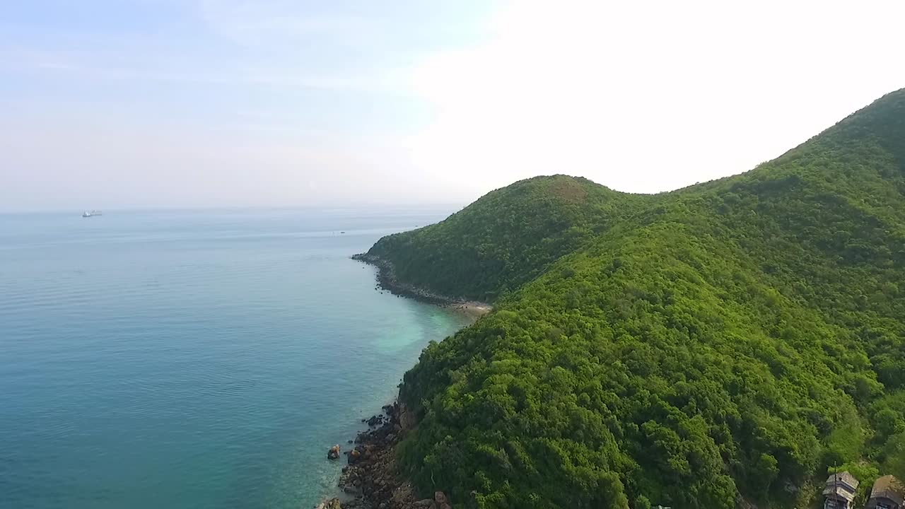 울창한 식물이 있는 해안 풍경