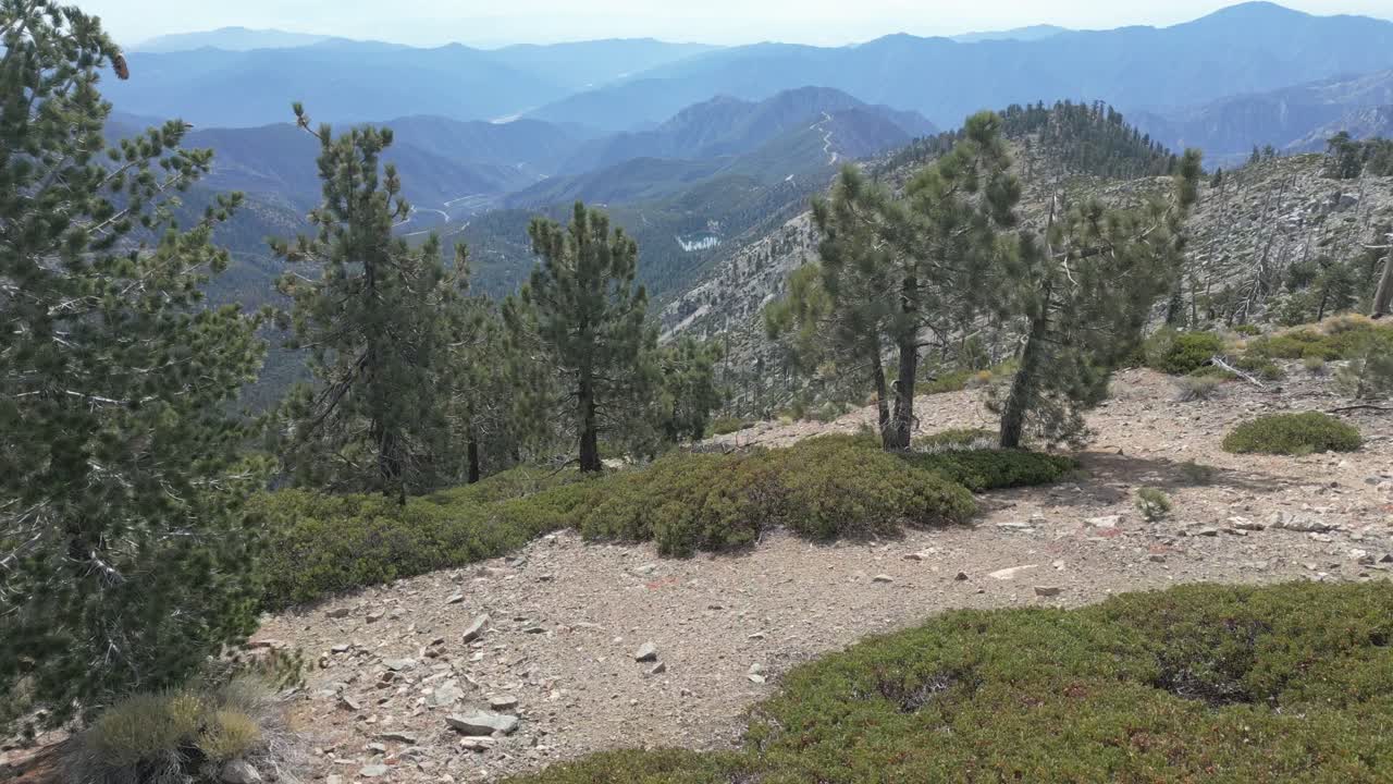 Drone flies forward over California mountains and trees (60fps)