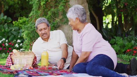 Video-De-Una-Feliz-Pareja-Birracial-De-Ancianos-Haciendo-Un-Picnic-En-El-Jardín