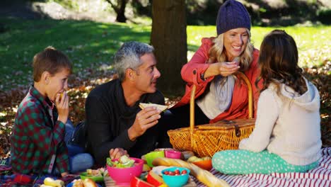 Glückliche-Familie,-Die-Ein-Picknick-Macht