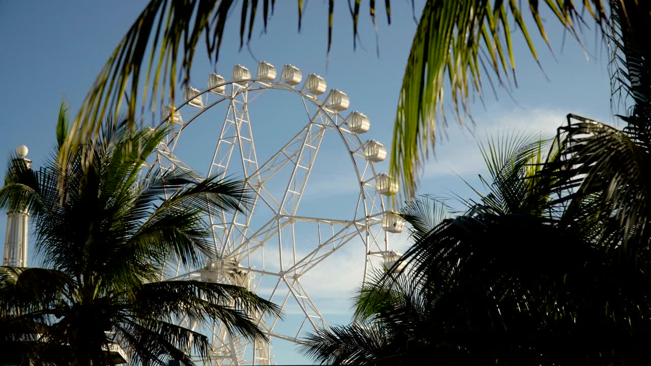 놀이 공원 에 있는 페리스