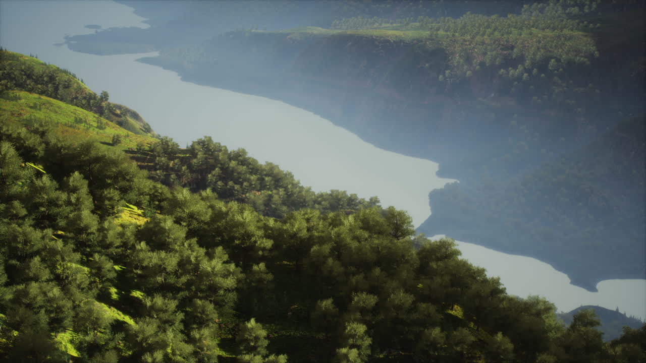 Aerial top view of rainforest ecosystem and healthy environment