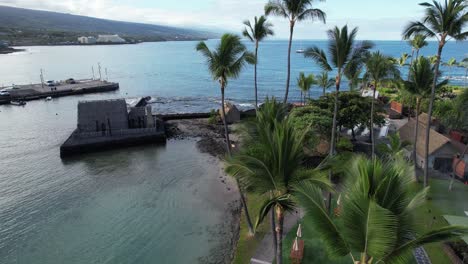 palm trees tropical hawaiian destination