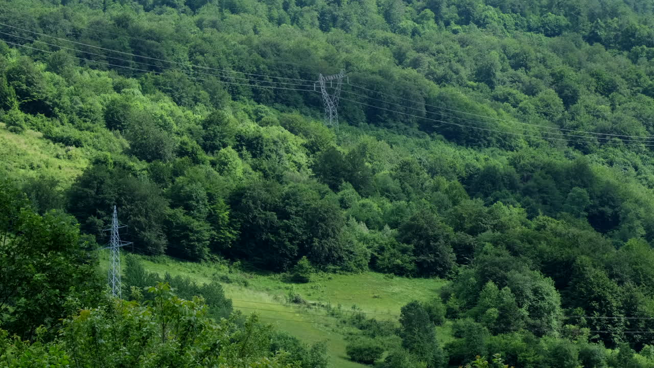 A landscape with a lot of green trees There are power lines and a metal tower in the distance going over hills