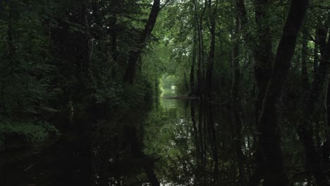 deslizándose a través del canal del río dentro del desierto