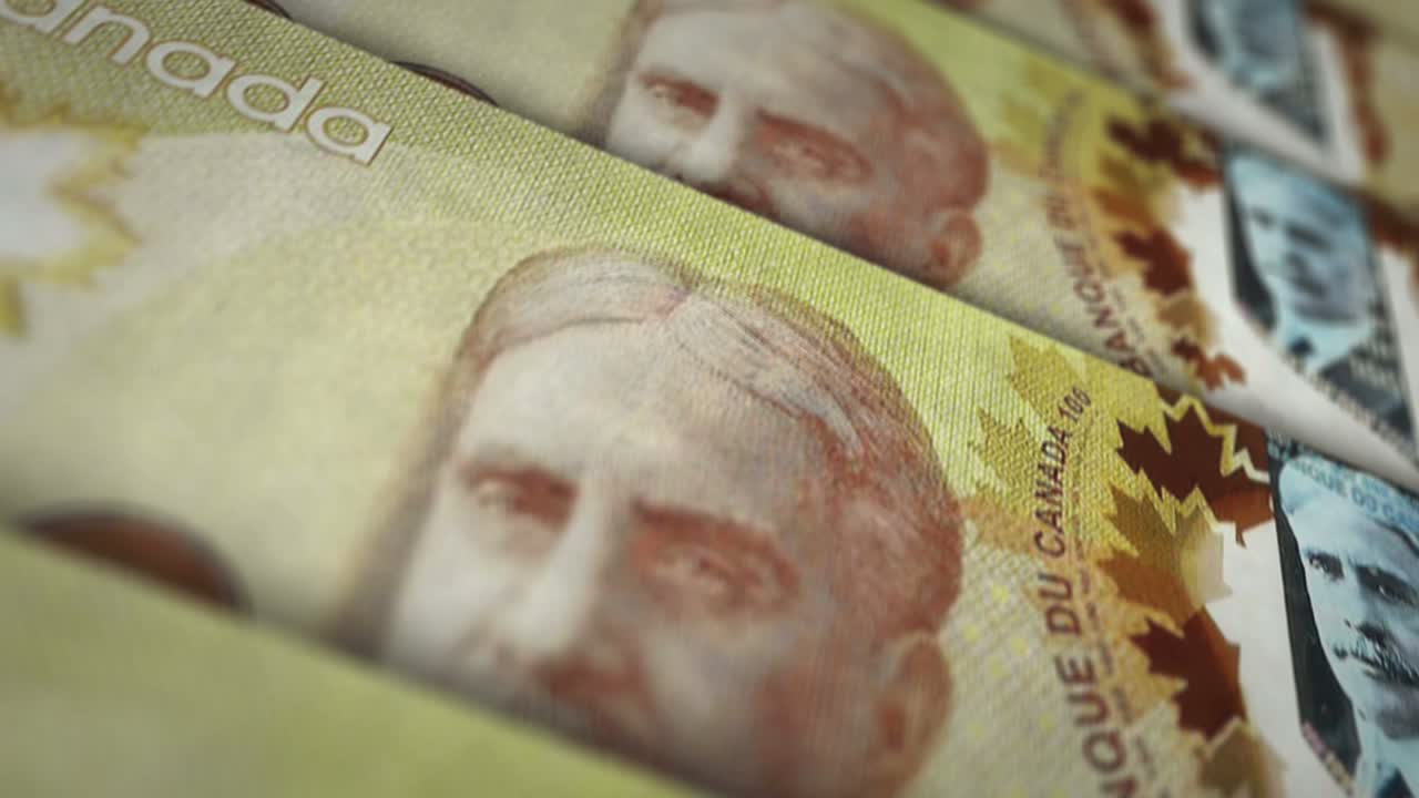 캐나다 달러 돈 지폐 표면 루프 애니메이션