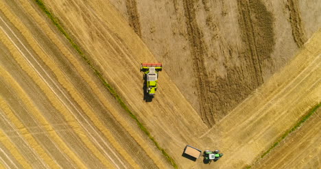 combine harvester gathers the wheat crop