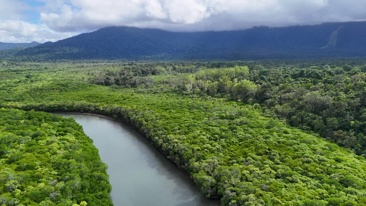 Aerial footage captures lush mangroves and winding river in Daintree Rainforest under cloudy skies