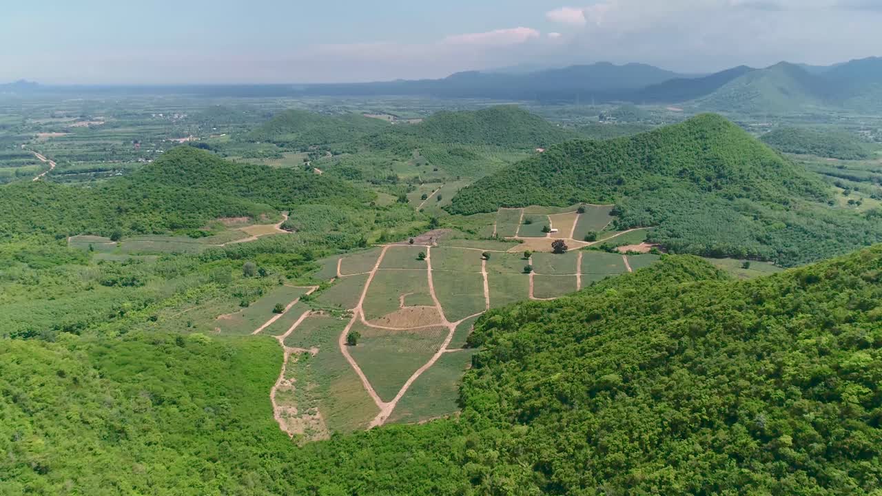 dji pt4에서 촬영한 태국의 파인애플 농장 또는 파인애플 농장과 마운틴뷰