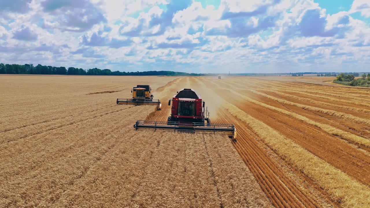 Agricultural machinery gathering ripe wheat. Front view of two combine harvesters working on the field. Seasonal works.