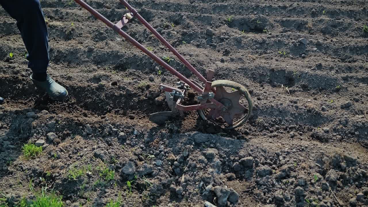 Video al rallentatore di una persona che prepara il terreno da giardino usando un utensile manuale vintage