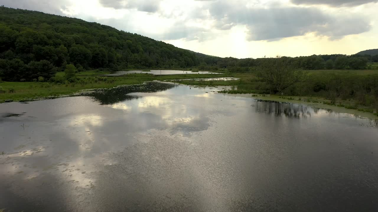 4K luftvideoer Allegheny National Forest sø