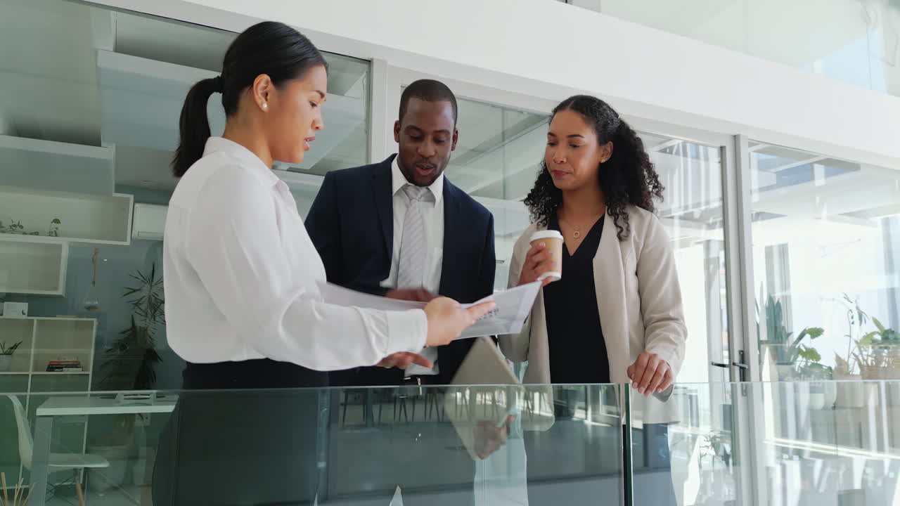 Portfolio, documents or business people in meeting