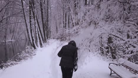 Warm-dressed-female-rear-view-pulling-snowy-woodland-tree-branch-covering-herself-in-soft-snowfall