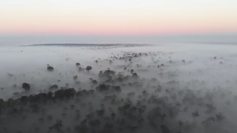 vista aérea de la mañana nublada en los bosques del sudeste asiático