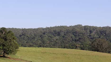 timelapse of a peaceful rural landscape