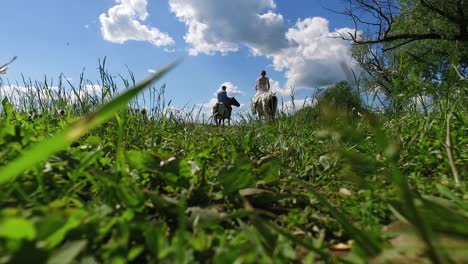 couple horseback riding in a field