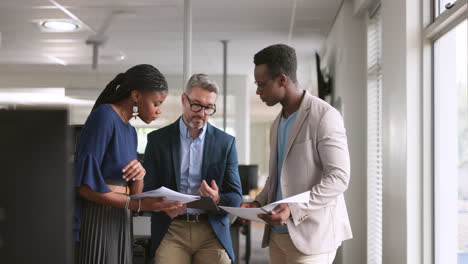 documents, collaboration or business people
