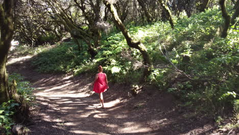 Mujer-Joven-Caminando-Con-Un-Vestido-Rojo-En-El-Bosque-De-Brezos-En-Un-Día-Tranquilo-Y-Soleado,-Valverde,-La-Llania