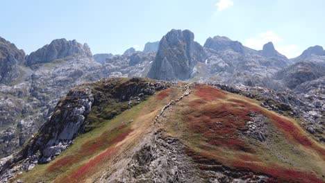 flock of sheep walks in line at mountains of prokletije national park, montenegro - aerial